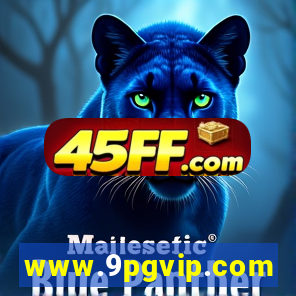 www.9pgvip.com