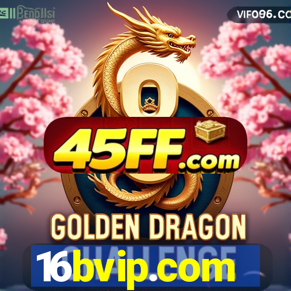 16bvip.com