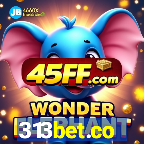 313bet.co