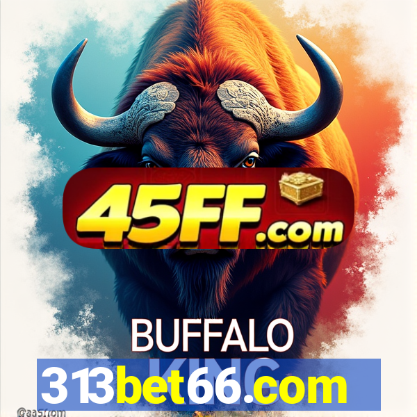 313bet66.com