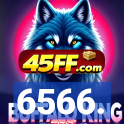 6566.