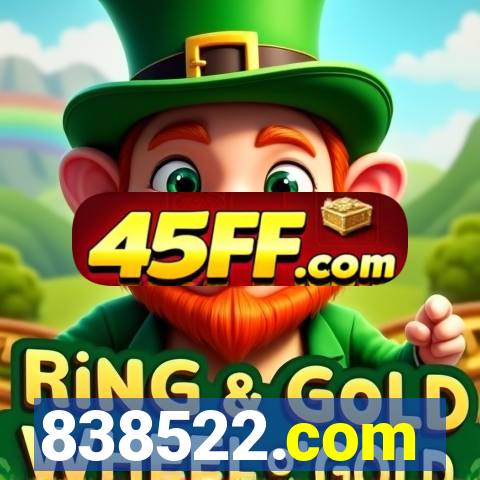 838522.com