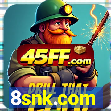 8snk.com