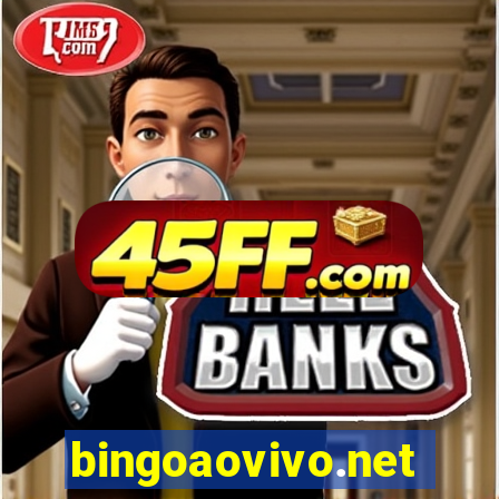 bingoaovivo.net