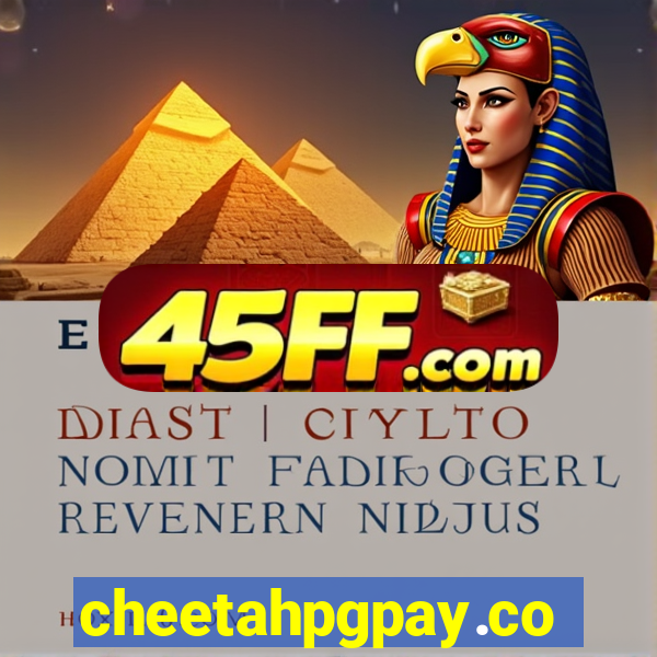 cheetahpgpay.com