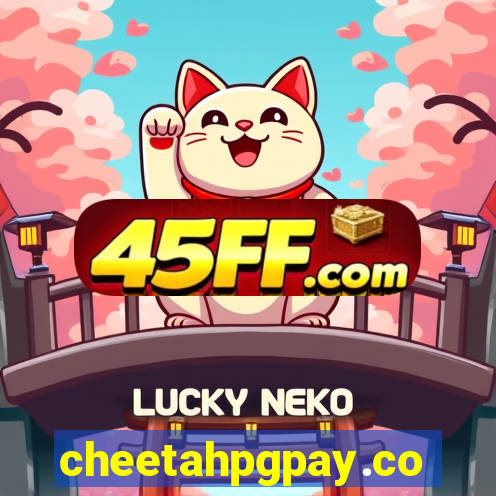 cheetahpgpay.com