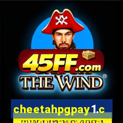 cheetahpgpay1.com