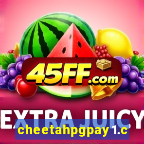 cheetahpgpay1.com