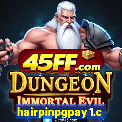 hairpinpgpay1.com