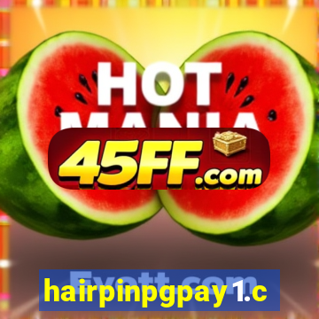 hairpinpgpay1.com