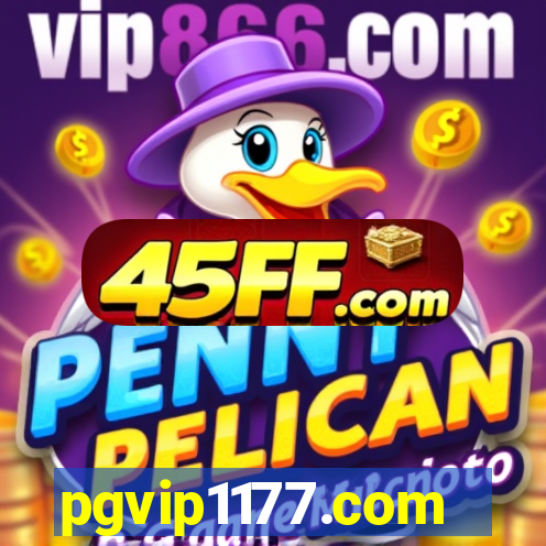 pgvip1177.com