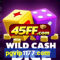 pgvip1177.com
