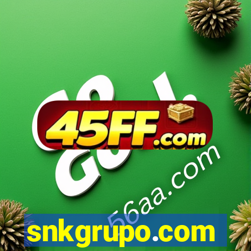 snkgrupo.com