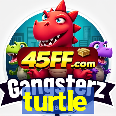 turtle-ty.com
