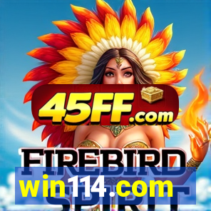 win114.com