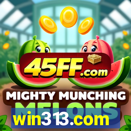 win313.com
