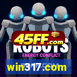 win317.com