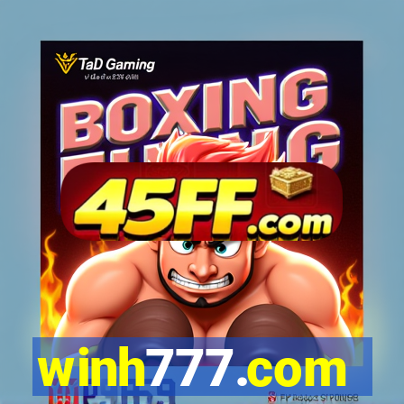 winh777.com