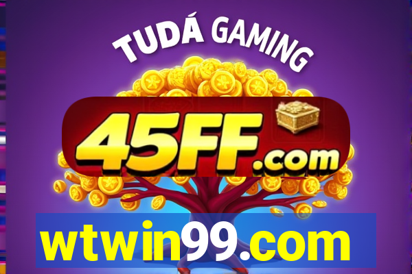 wtwin99.com