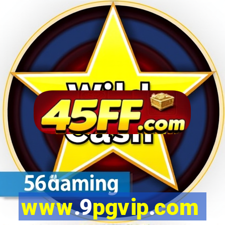 www.9pgvip.com